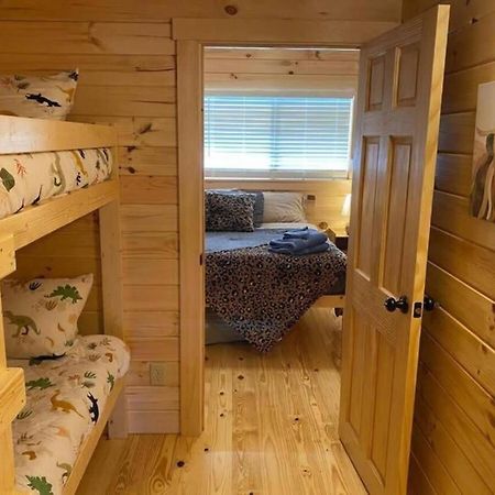 Serene 1Br Cabin Near Nc Z00 With Loft & Waterview Asheboro Eksteriør billede